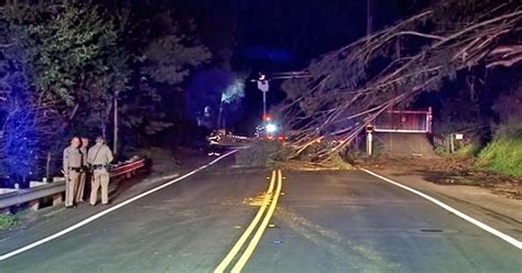 VIDEO: Bay Area firefighters rescue 2 after tree smashes into truck